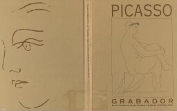 Picasso grabador en los fondos del Museo Nacional Centro de Arte Reina Sofía