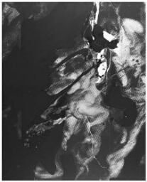Gran caída I (d'aprés Peter Paul Rubens) (Gran caída I [según Peter Paul Rubens])