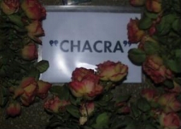 Chacra99