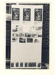 Imágenes del display de la muestra