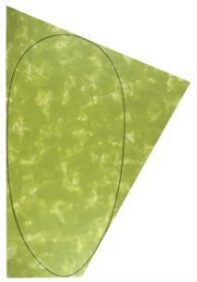 Irregular Green Area with a Drawn Ellipse (Área verde irregular con una elipse dibujada)