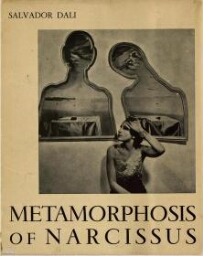 Metamorphosis of Narcissus 