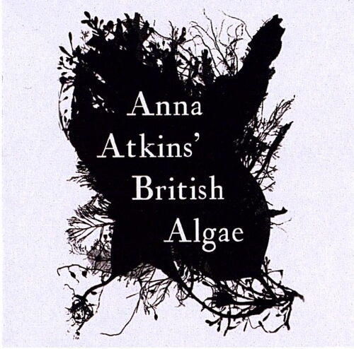 Anna Atkins' British Algae: on its 170th anniversary, 1843-2013 /