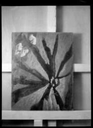Negativos fotográficos de pinturas de Maruja Mallo.