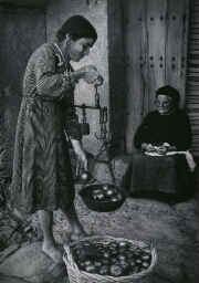 Woman Selling Tomatoes (Mujer vendiendo tomates)