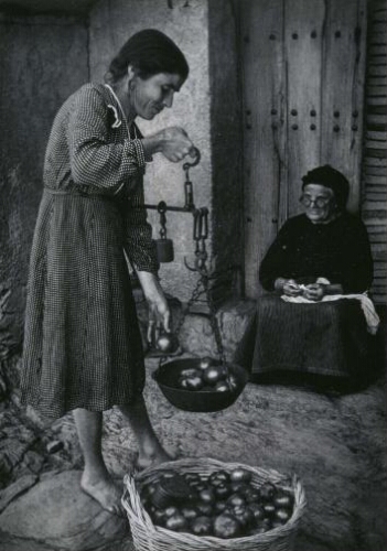 Woman Selling Tomatoes (Mujer vendiendo tomates)