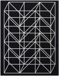 Caixa Preta (Estructura II) (Caja negra [Estructura II])