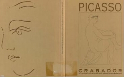 Picasso gravador - en els fons del Museu Nacional Centre d'Art Reina Sofía