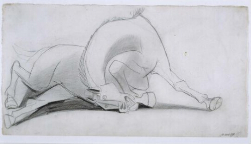 Estudio para el caballo (I). Dibujo preparatorio para «Guernica»