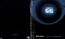Bill Viola: más allá de la mirada (imágenes no vistas) : Museo Nacional Centro de Arte Reina Sofía, Madrid, del 15 de junio al 23 de agosto de 1993