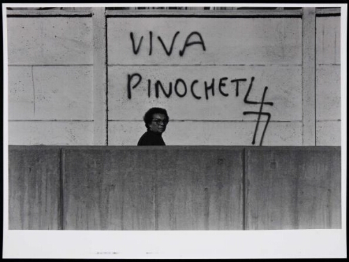 Viva Pinochet