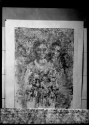 Negativos fotográficos de grabados de la galeria Macarrón.