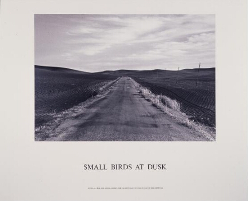 Small Birds at Dusk (Pequeños pájaros al atardecer)