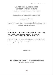 Posporno - breve estudio de las prácticas transfeministas : activismo político en torno a sexualidades no normativas en el Estado español a principios del siglo XXI
