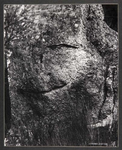 Retrato de una roca: (mi Mona Lisa)
