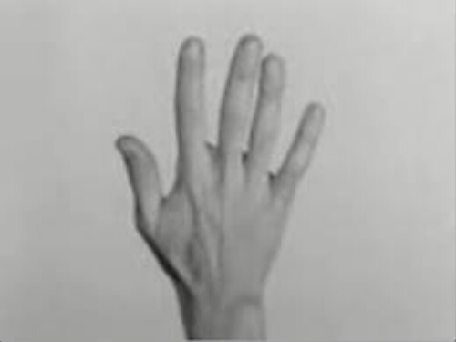 Hand Movie (Five Easy Pieces) (Película de mano [Cinco piezas sencillas])