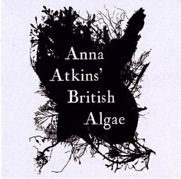 Anna Atkins' British Algae: on its 170th anniversary, 1843-2013 