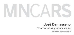 José Damasceno: coordenadas y apariciones : 9 de febrero-19 de mayo de 2008.