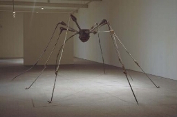 Spider (Araña)