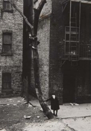 New York, c. 1942 (Kids with Masks in the Tree) (Nueva York, ca. 1942 [Niños con máscaras en el árbol])